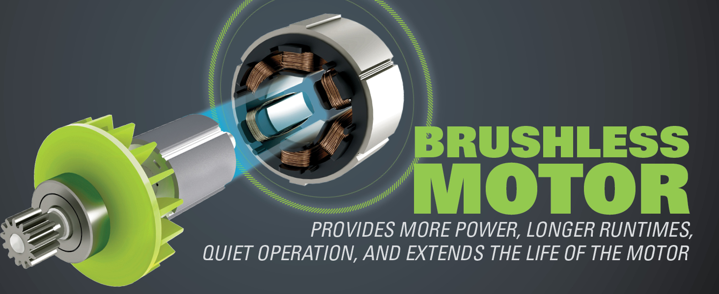 Brushless Motor 