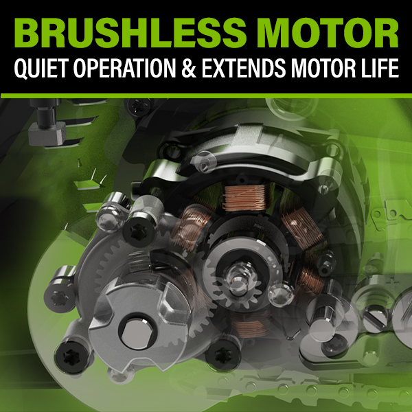 Brushless Motor